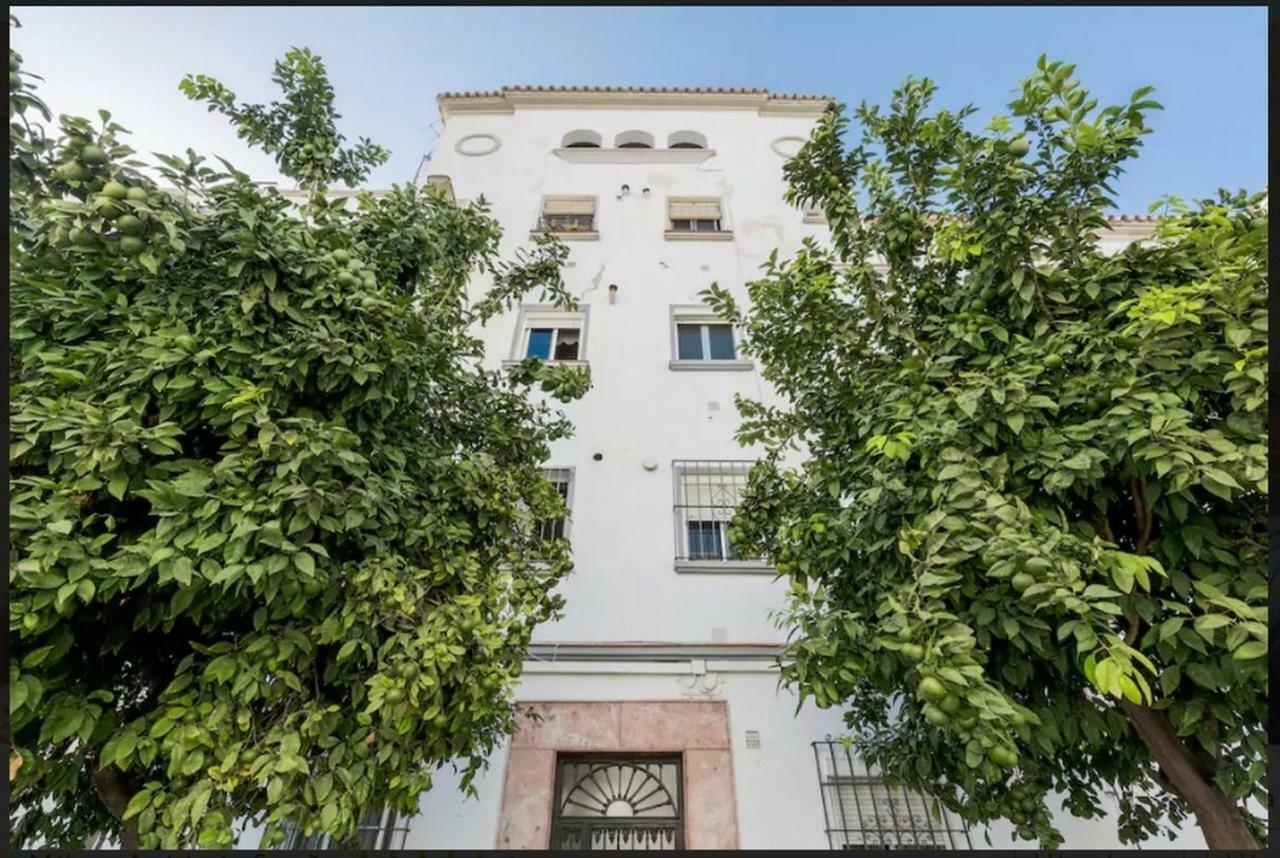 Apartamento Milagros 110 M2 말라가 외부 사진